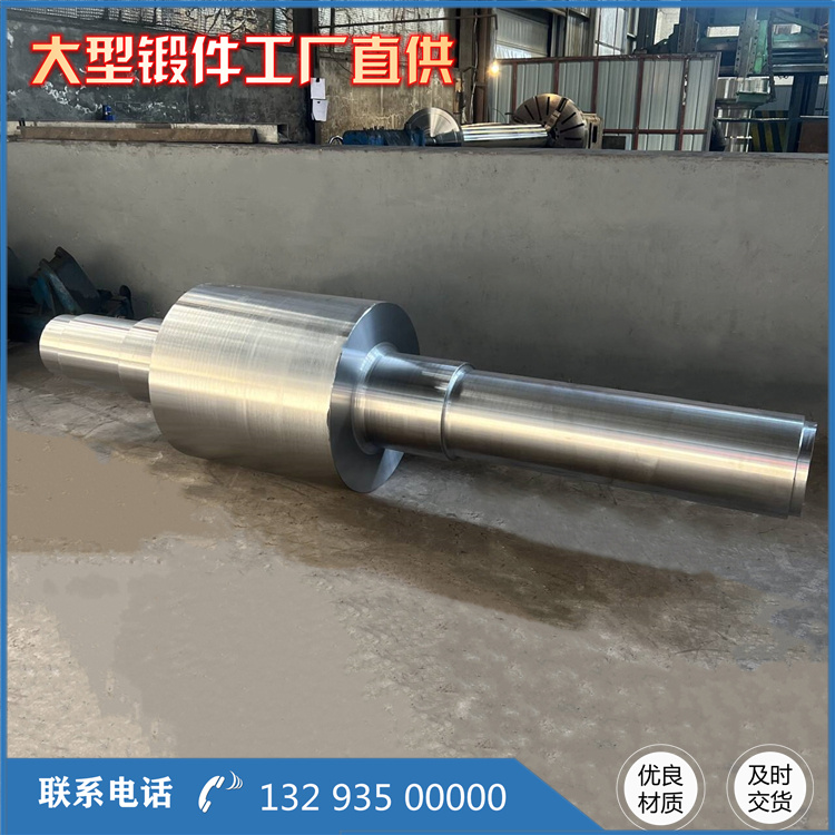 鍛造電機(jī)軸